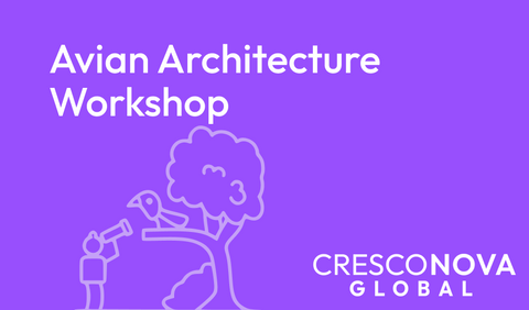 Avian Architecture Workshop