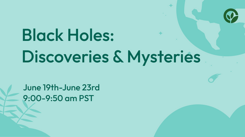 Black Holes: Discoveries & Mysteries