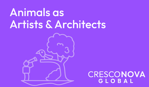 Animals as Artists & Architects