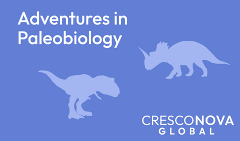 Adventures in Paleontology