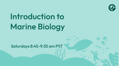 Intro to Marine Biology