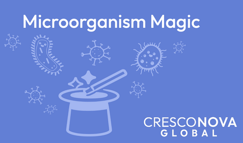 Microorganism Magic