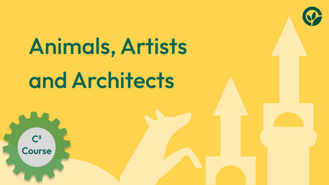 Animals, Artists and Architects